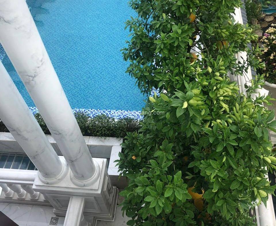 Mua Bán Bất Động Sản, Nhà Đất, Khách Sạn, Đất Nền Tại Đất Biển Đà Nẵng