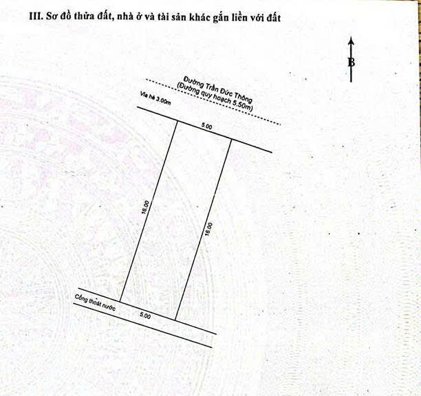 1000011931 - datbiendanang
